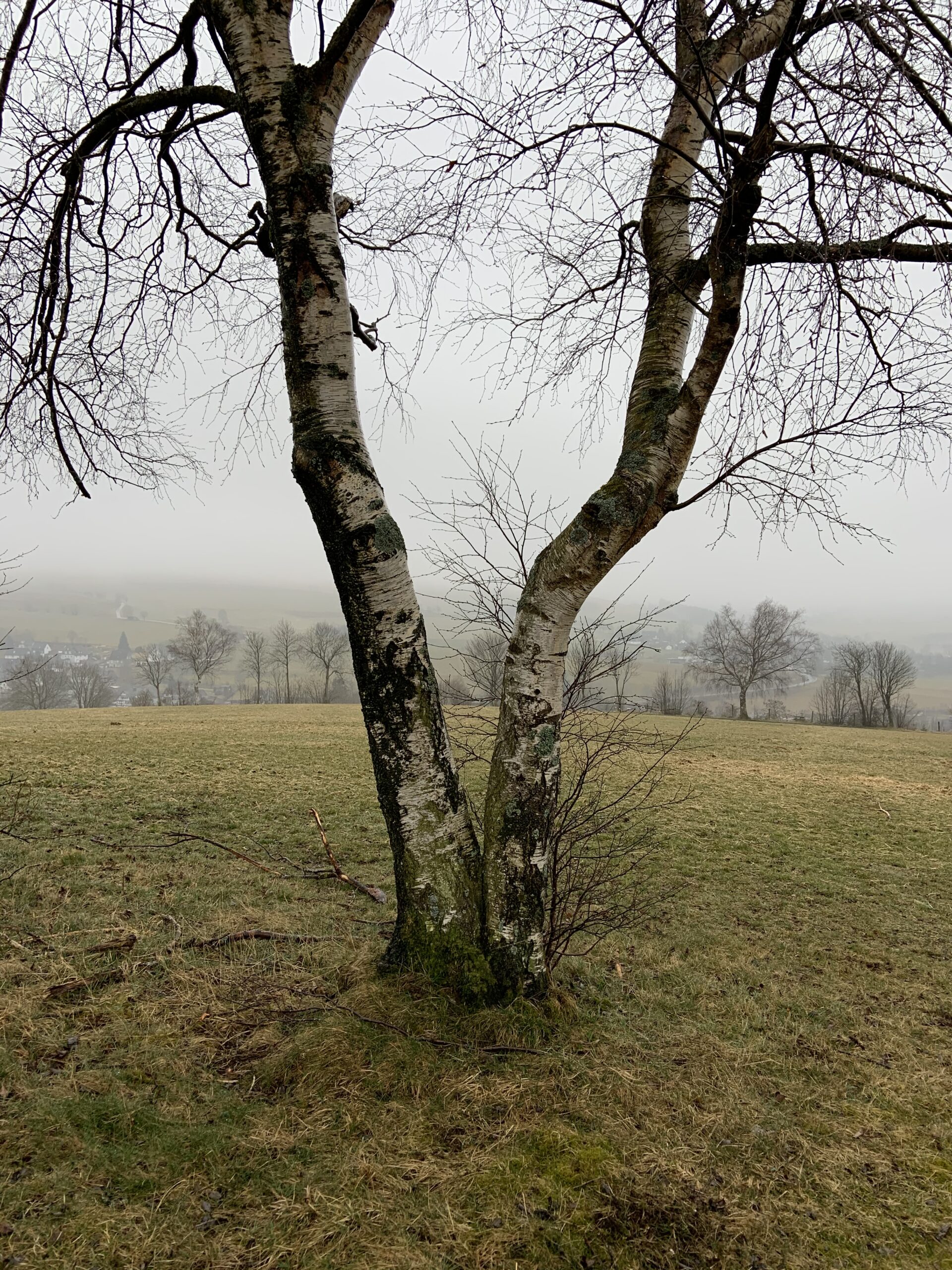 Überraschung in den Osterferien