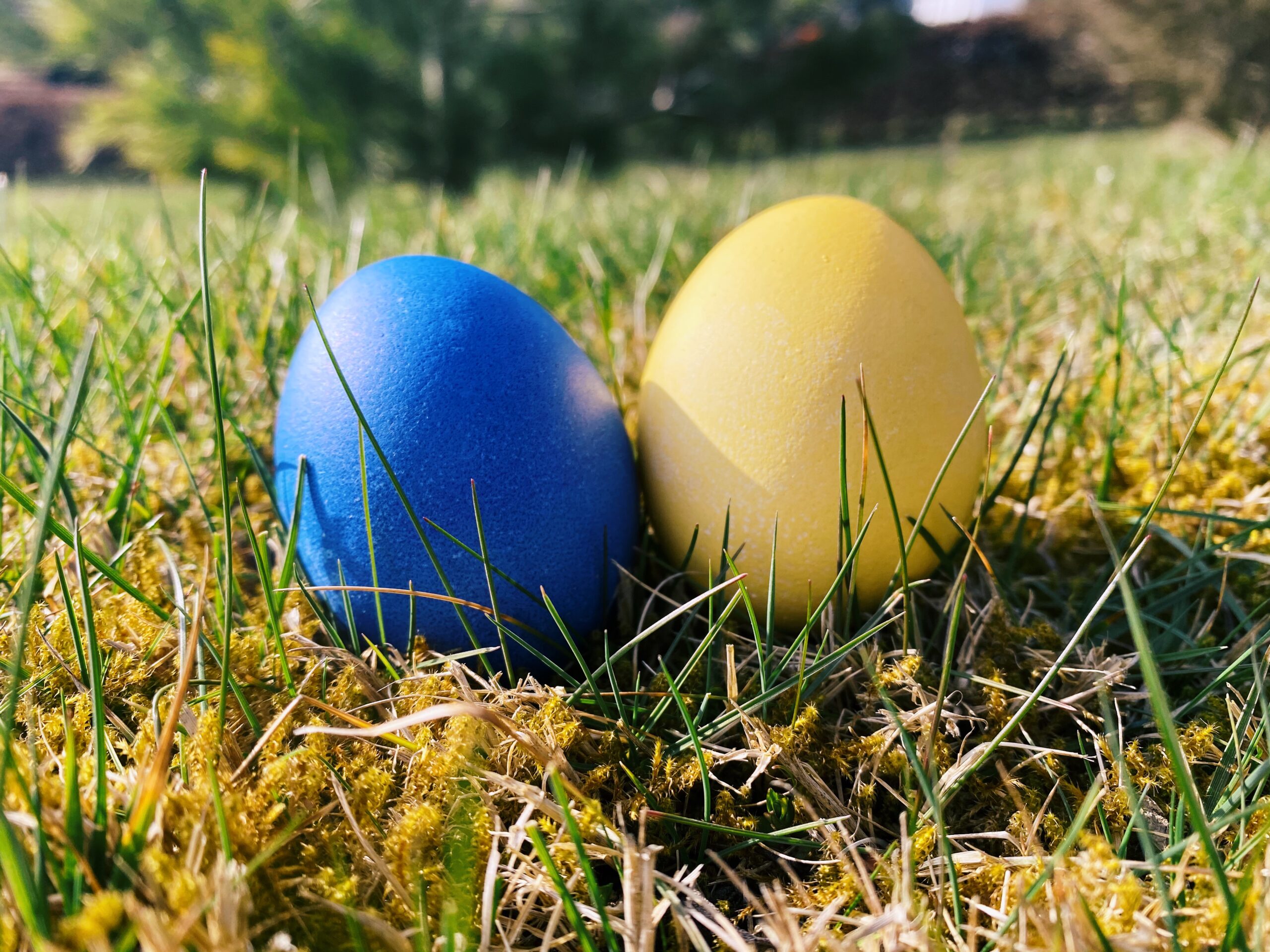 Wir wünschen allen Sportfreunden ein schönes Osterfest im Kreise der Familie!